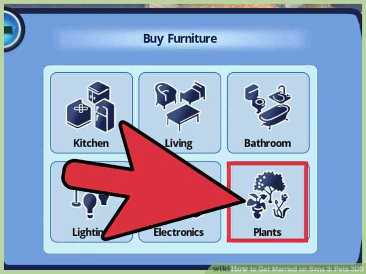Image intitulée mariez-vous sur Sims 3_ Animaux de compagnie 3DS Étape 19